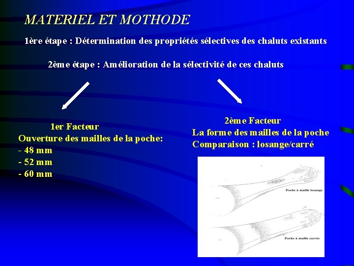 MATERIEL ET MOTHODE 1ère étape : Détermination des propriétés sélectives des chaluts existants 2ème