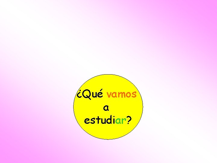 ¿Qué vamos a estudiar? 