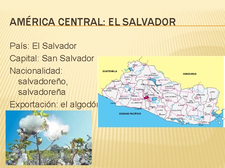 AMÉRICA CENTRAL: EL SALVADOR País: El Salvador Capital: San Salvador Nacionalidad: salvadoreño, salvadoreña Exportación: