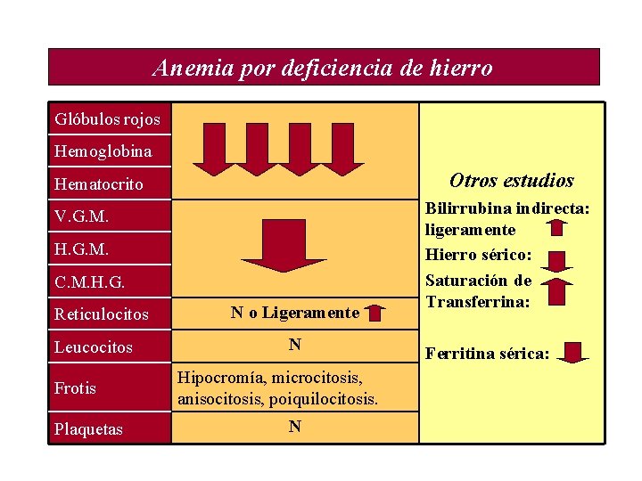 Anemia por deficiencia de hierro Glóbulos rojos Hemoglobina Otros estudios Hematocrito V. G. M.