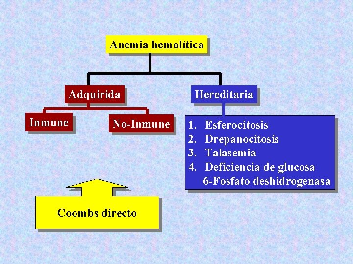 Anemia hemolítica Adquirida Inmune No-Inmune Coombs directo Hereditaria 1. 2. 3. 4. Esferocitosis Drepanocitosis