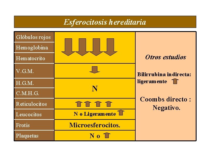 Esferocitosis hereditaria Glóbulos rojos Hemoglobina Otros estudios Hematocrito V. G. M. H. G. M.