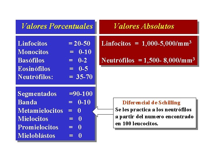 Valores Porcentuales Linfocitos Monocitos Basófilos Eosinófilos Neutrófilos: = 20 -50 = 0 -10 =