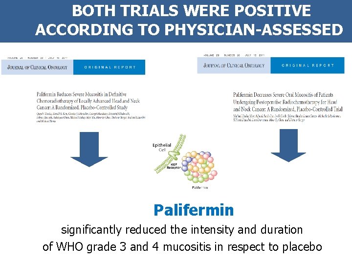 BOTH TRIALS WERE POSITIVE ACCORDING TO PHYSICIAN-ASSESSED MUCOSITIS Palifermin significantly reduced the intensity and