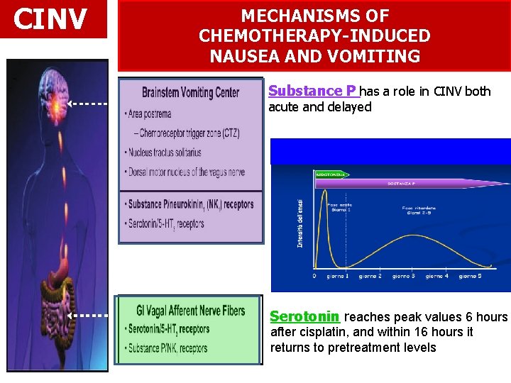 CINV MECHANISMS OF CHEMOTHERAPY-INDUCED NAUSEA AND VOMITING Substance P has a role in CINV