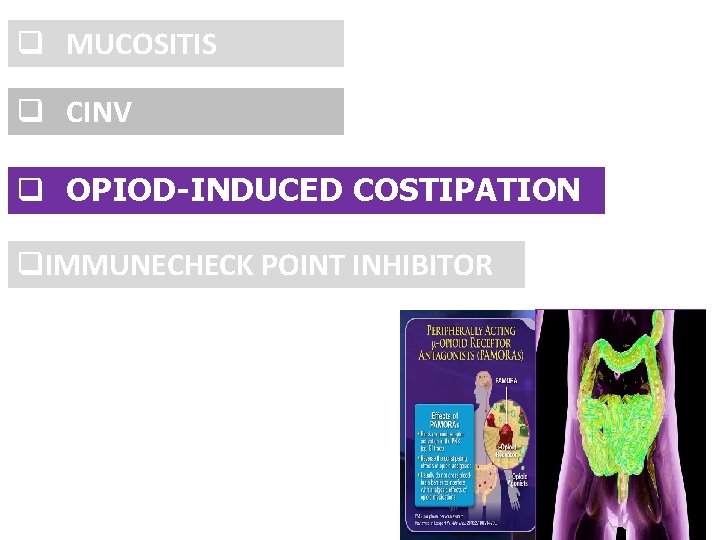 q MUCOSITIS q CINV q OPIOD-INDUCED COSTIPATION q. IMMUNECHECK POINT INHIBITOR 