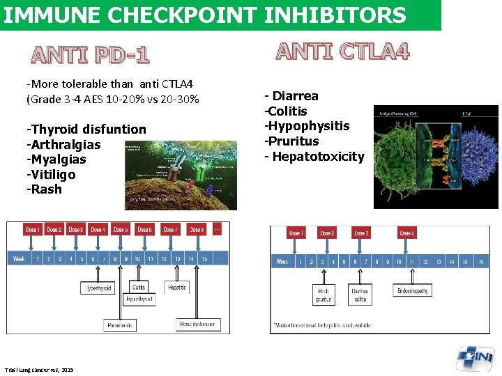 IMMUNE CHECKPOINT INHIBITORS ANTI PD-1 -More tolerable than anti CTLA 4 (Grade 3 -4