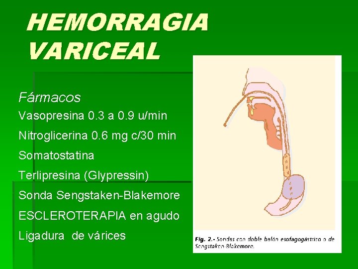 HEMORRAGIA VARICEAL Fármacos Vasopresina 0. 3 a 0. 9 u/min Nitroglicerina 0. 6 mg