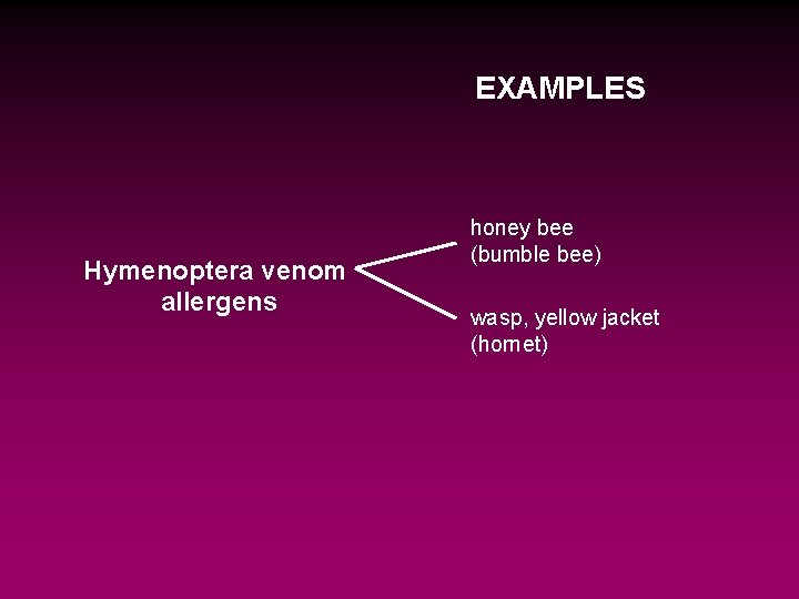 EXAMPLES Hymenoptera venom allergens honey bee (bumble bee) wasp, yellow jacket (hornet) 