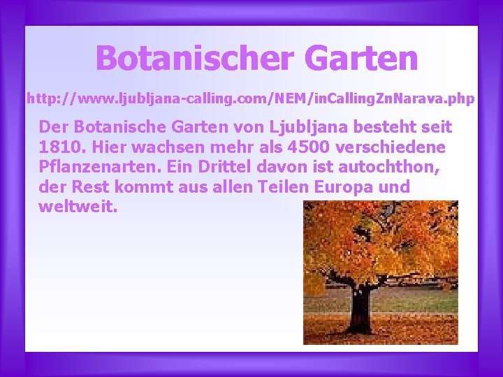 Botanischer Garten http: //www. ljubljana-calling. com/NEM/in. Calling. Zn. Narava. php Der Botanische Garten von