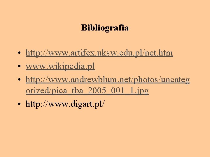 Bibliografia • http: //www. artifex. uksw. edu. pl/net. htm • www. wikipedia. pl •