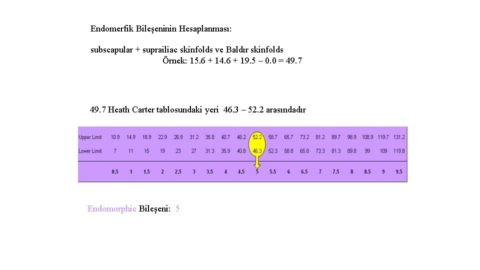 Endomerfik Bileşeninin Hesaplanması: subscapular + suprailiac skinfolds ve Baldır skinfolds Örnek: 15. 6 +