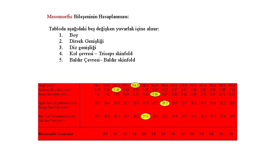 Mesomorfic Bileşeninin Hesaplanması: Tabloda aşağıdaki beş değişken yuvarlak içine alınır: 1. Boy 2. Dirsek