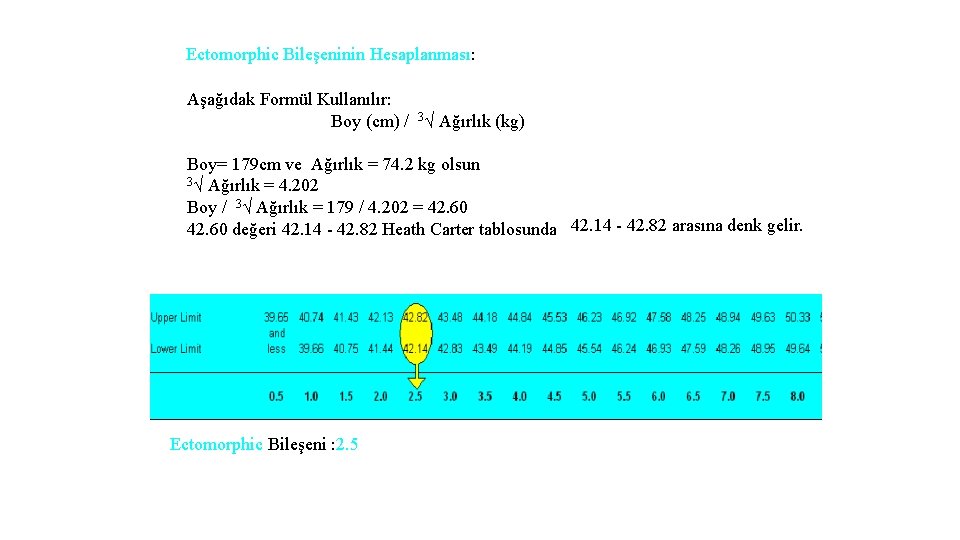 Ectomorphic Bileşeninin Hesaplanması: Aşağıdak Formül Kullanılır: Boy (cm) / 3√ Ağırlık (kg) Boy= 179