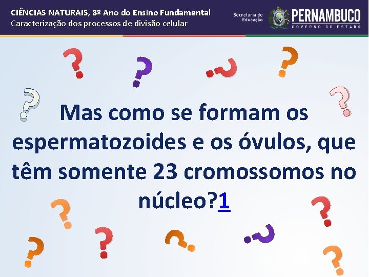 CIÊNCIAS NATURAIS, 8º Ano do Ensino Fundamental Caracterização dos processos de divisão celular ?