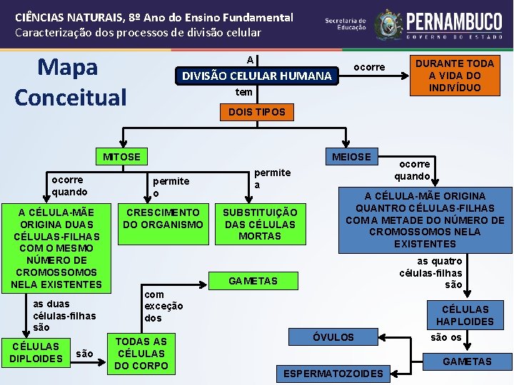 CIÊNCIAS NATURAIS, 8º Ano do Ensino Fundamental Caracterização dos processos de divisão celular Mapa