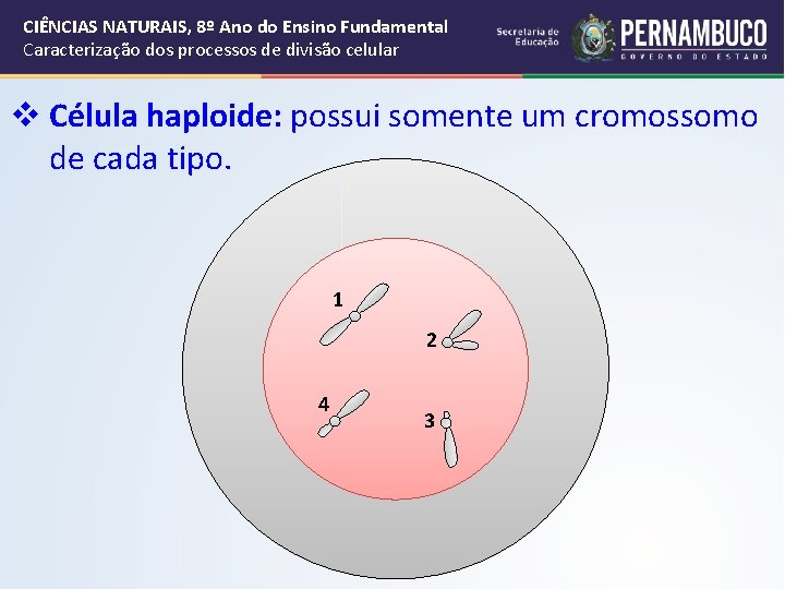 CIÊNCIAS NATURAIS, 8º Ano do Ensino Fundamental Caracterização dos processos de divisão celular v