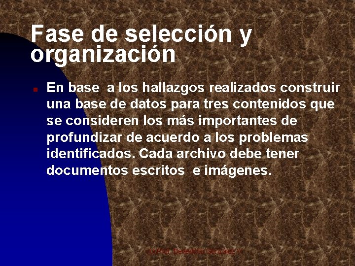 Fase de selección y organización n En base a los hallazgos realizados construir una