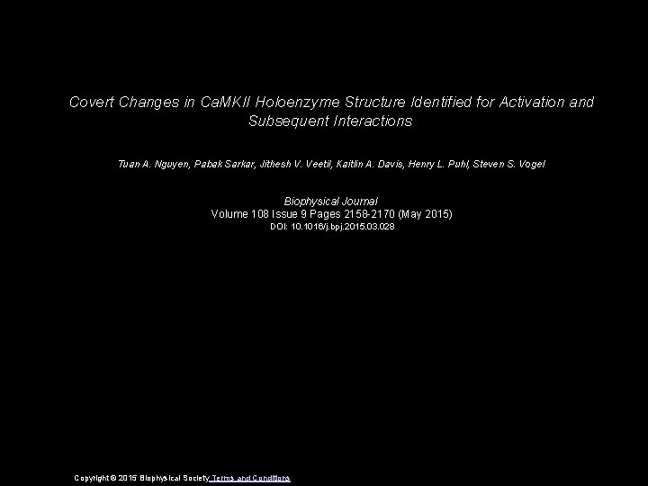 Covert Changes in Ca. MKII Holoenzyme Structure Identified for Activation and Subsequent Interactions Tuan