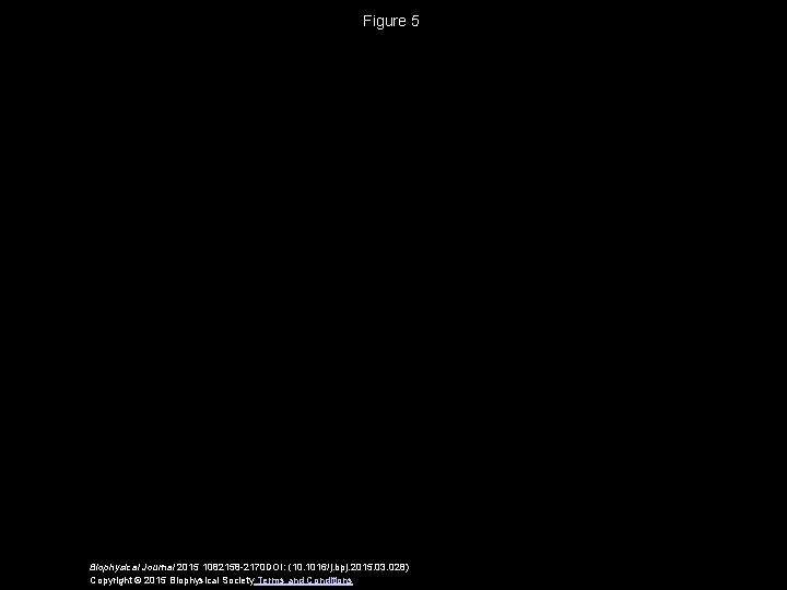 Figure 5 Biophysical Journal 2015 1082158 -2170 DOI: (10. 1016/j. bpj. 2015. 03. 028)