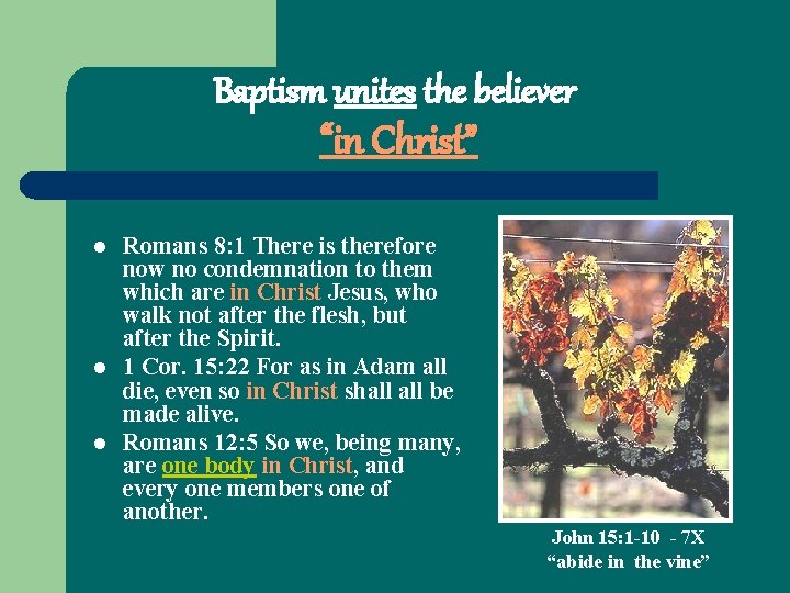 Baptism unites the believer “in Christ” l l l Romans 8: 1 There is