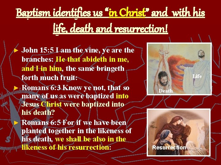 Baptism identifies us “in Christ” and with his life, death and resurrection! ► John