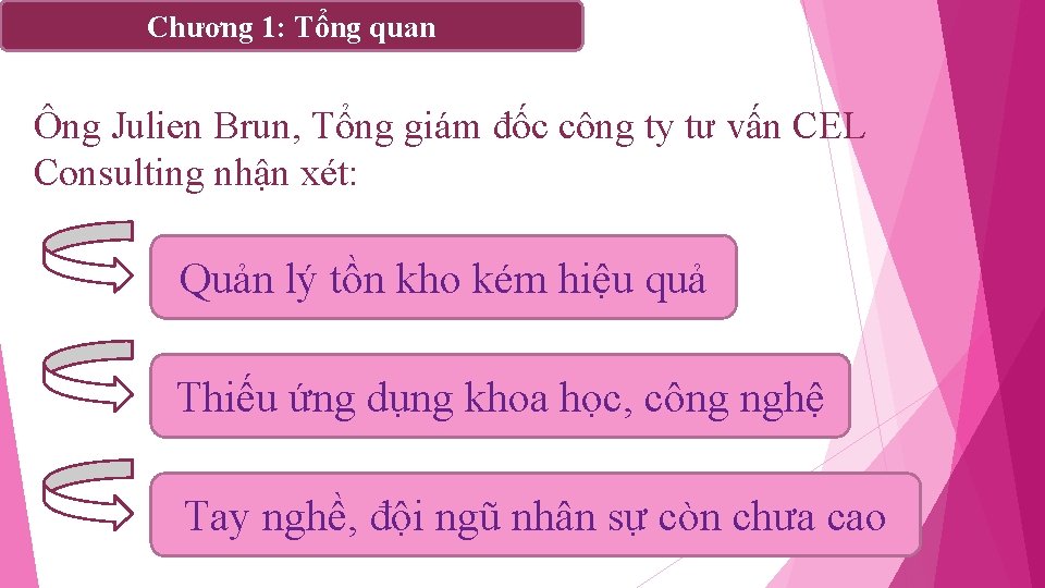 Chương 1: Tổng quan Ông Julien Brun, Tổng giám đốc công ty tư vấn