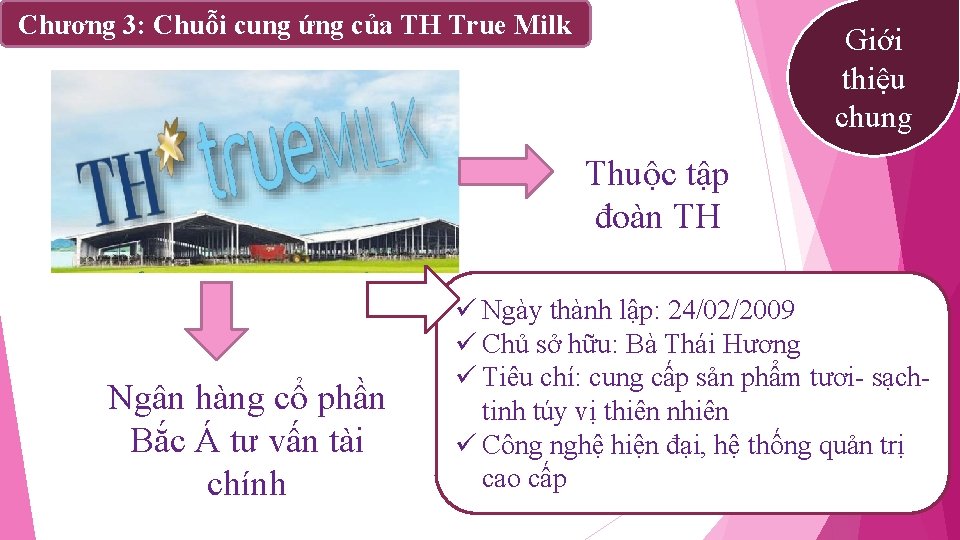 Chương 3: Chuỗi cung ứng của TH True Milk Giới thiệu chung Thuộc tập