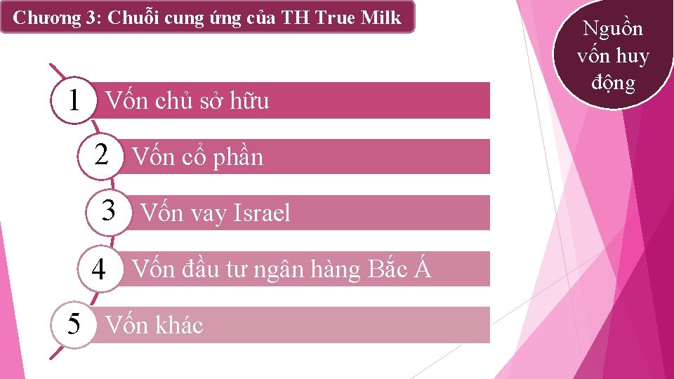 Chương 3: Chuỗi cung ứng của TH True Milk 1 Vốn chủ sở hữu