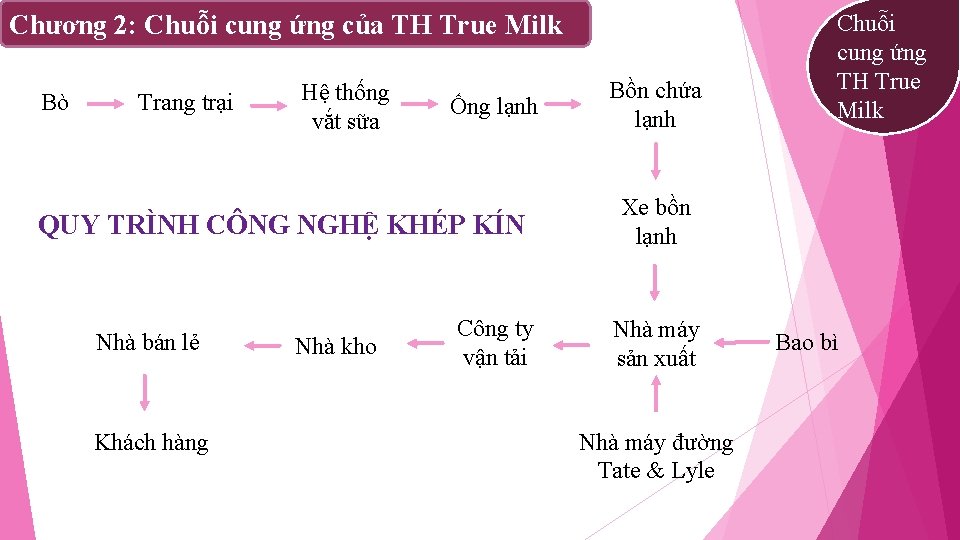 Chương 2: Chuỗi cung ứng của TH True Milk Bò Trang trại Hệ thống