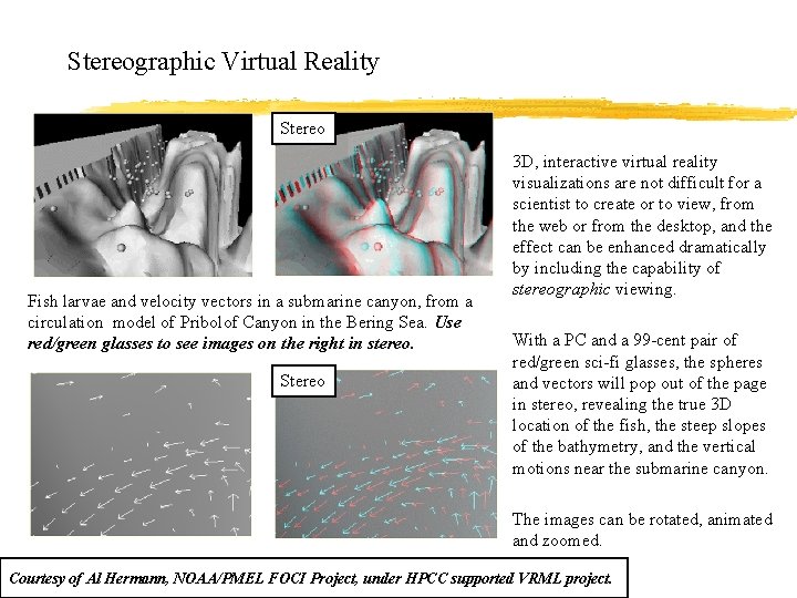 Stereographic Virtual Reality Stereo Fish larvae and velocity vectors in a submarine canyon, from