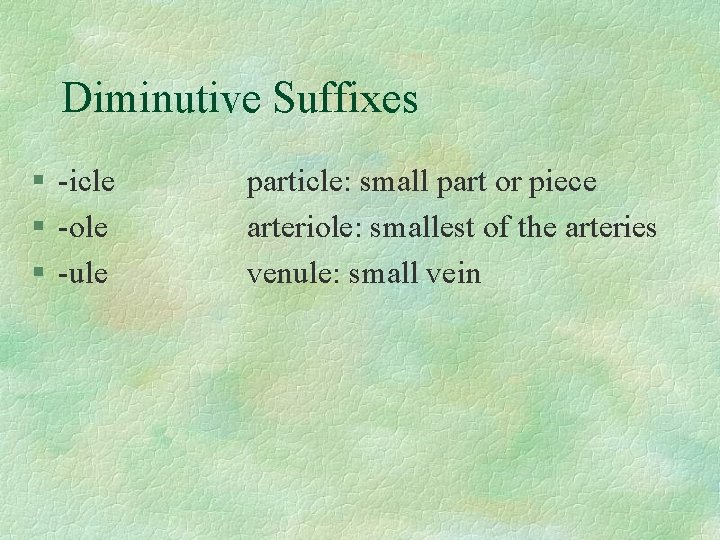 Diminutive Suffixes § -icle § -ole § -ule particle: small part or piece arteriole: