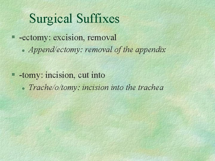 Surgical Suffixes § -ectomy: excision, removal l Append/ectomy: removal of the appendix § -tomy: