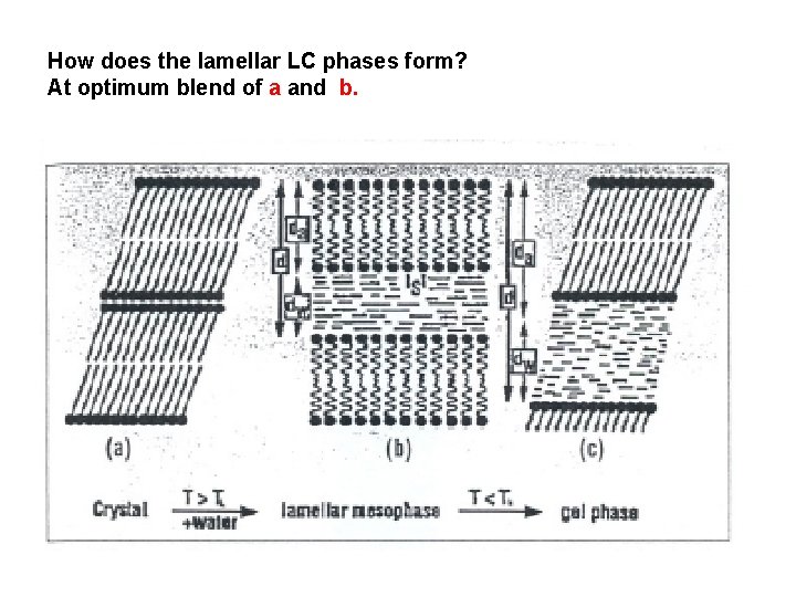 How does the lamellar LC phases form? At optimum blend of a and b.