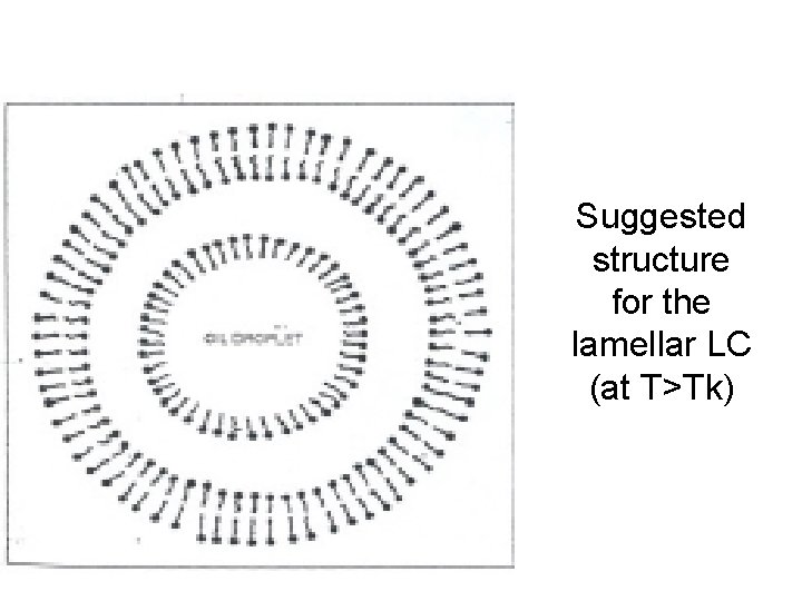 Suggested structure for the lamellar LC (at T>Tk) 