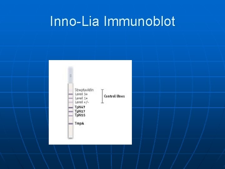 Inno-Lia Immunoblot 