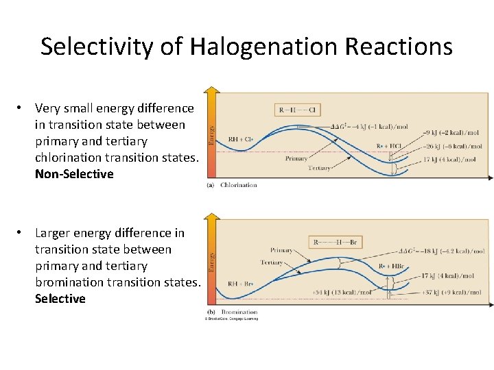 Selectivity of Halogenation Reactions • Very small energy difference in transition state between primary Selectivity of Halogenation Reactions • Very small energy difference in transition state between primary