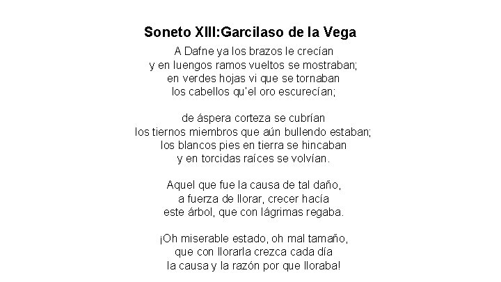 Soneto XIII: Garcilaso de la Vega A Dafne ya los brazos le crecían y