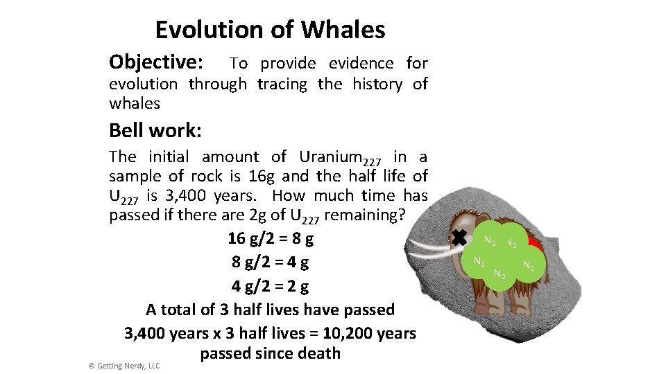 Evolution of Whales Objective: To provide evidence for evolution through tracing the history of