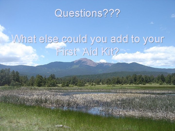 Questions? ? ? What else could you add to your First Aid Kit? 