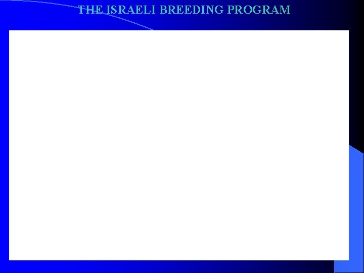 THE ISRAELI BREEDING PROGRAM 