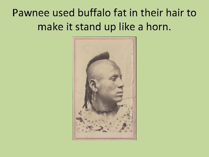 Pawnee used buffalo fat in their hair to make it stand up like a