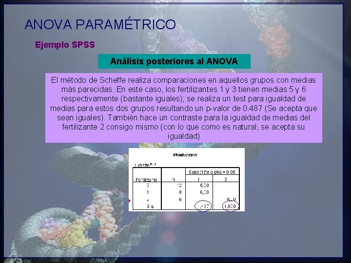 ANOVA PARAMÉTRICO Ejemplo SPSS Análisis posteriores al ANOVA El método de Scheffe realiza comparaciones