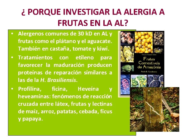 ¿ PORQUE INVESTIGAR LA ALERGIA A FRUTAS EN LA AL? • Alergenos comunes de