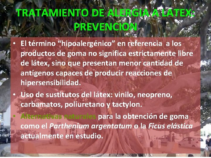 TRATAMIENTO DE ALERGIA A LATEX: PREVENCION • El término “hipoalergénico” en referencia a los