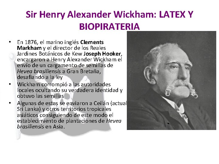 Sir Henry Alexander Wickham: LATEX Y BIOPIRATERIA • En 1876, el marino inglés Clements