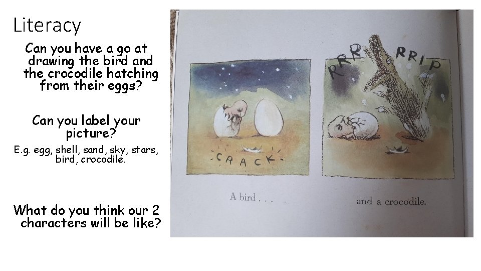 Literacy Can you have a go at drawing the bird and the crocodile hatching Literacy Can you have a go at drawing the bird and the crocodile hatching