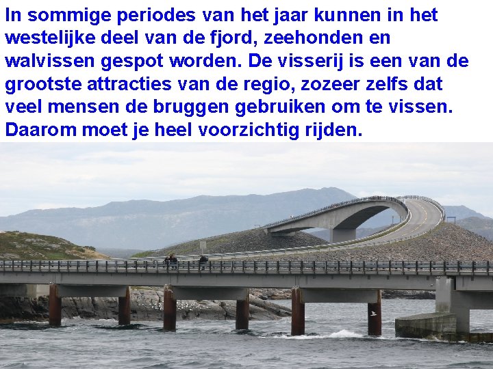 In sommige periodes van het jaar kunnen in het westelijke deel van de fjord, In sommige periodes van het jaar kunnen in het westelijke deel van de fjord,
