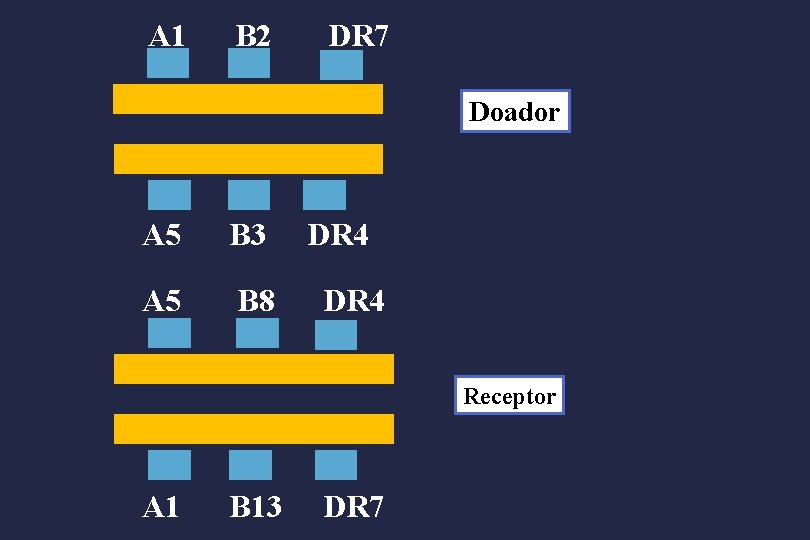 A 1 B 2 DR 7 Doador A 5 B 3 A 5 B