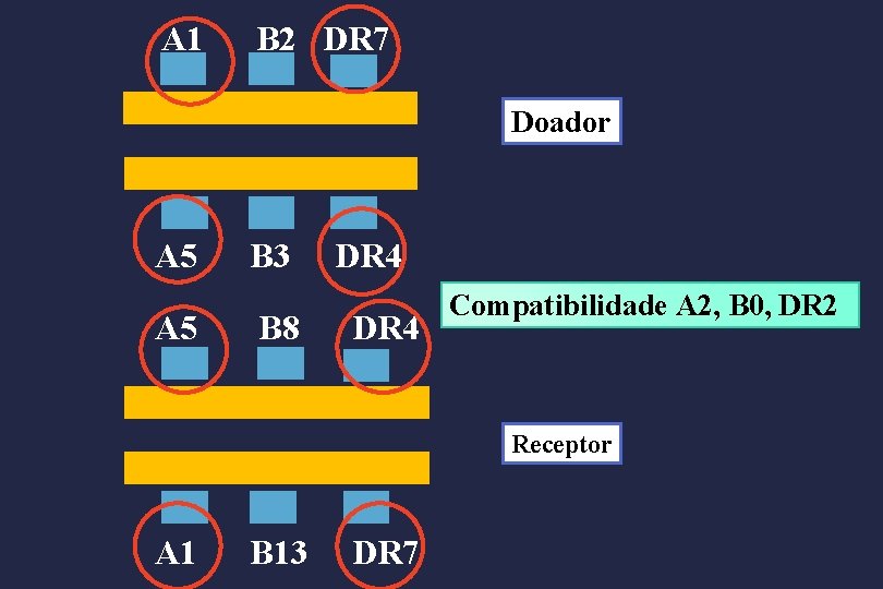 A 1 B 2 DR 7 Doador A 5 B 3 B 8 DR